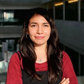 Ireri Hernandez Carballo